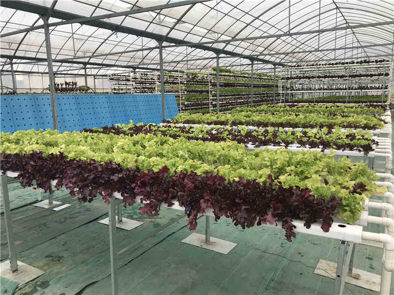 淺液流91丝瓜视频下载污