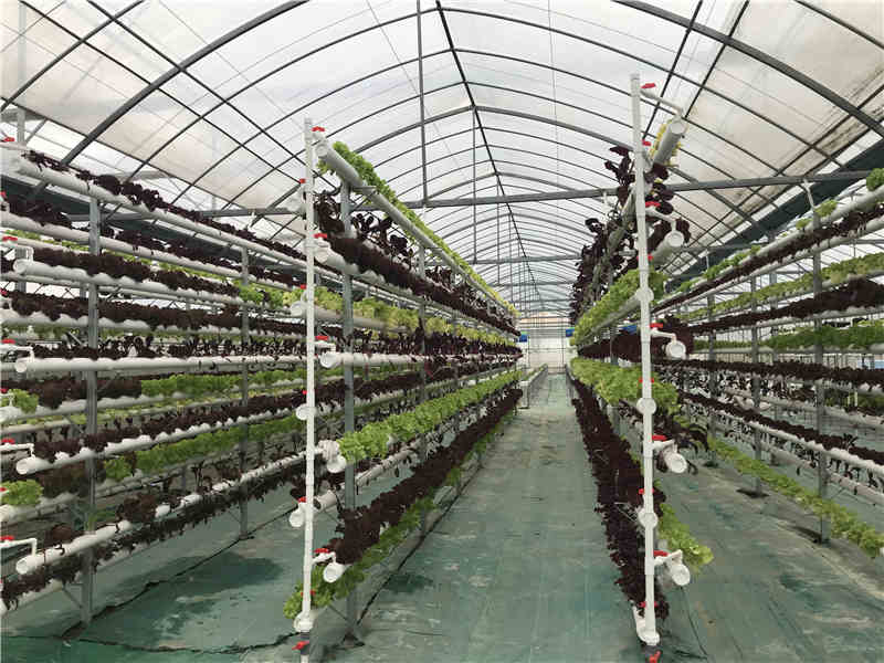 立體91丝瓜视频下载污