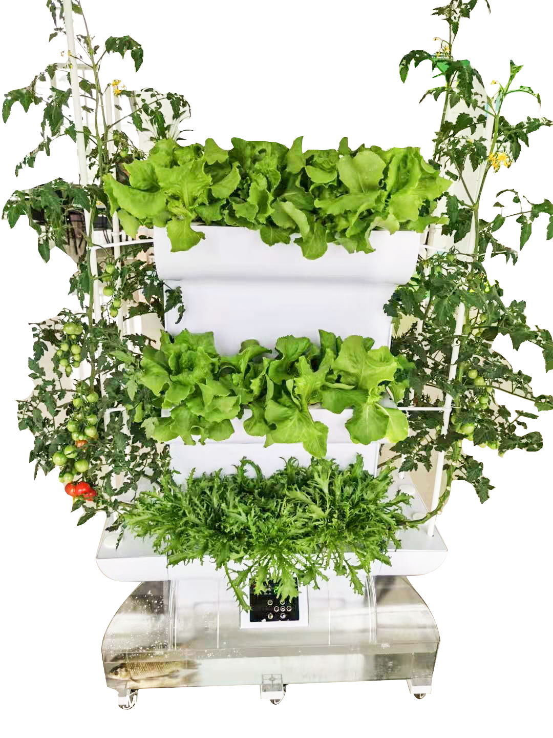 陽台蔬菜91丝瓜视频下载污機
